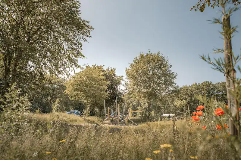 Natuurcamping met privé sanitair